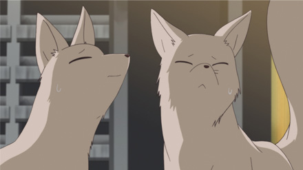 いなり、こんこん、恋いろは。 CV:日野ちゃまと花江くん いなり、こんこん、恋いろは。 CV:日野ちゃまと花江くん