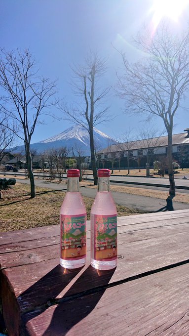 3/3晴れ☀ひな祭り🌸富士山も綺麗です🗻ひな祭りらしい物を探してみました😍ちびまる子ちゃんデザインの、ピンク色の可愛いさ 3/3晴れ☀ひな祭り🌸富士山も綺麗です🗻ひな祭りらしい物を探してみました😍ちびまる子ちゃんデザインの、ピンク色の可愛いさ