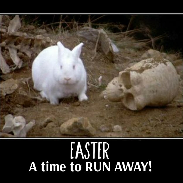 Easter. What exactly are you teaching your children about bunnies? #MontyPython #holygrail #easter #killerbunny 