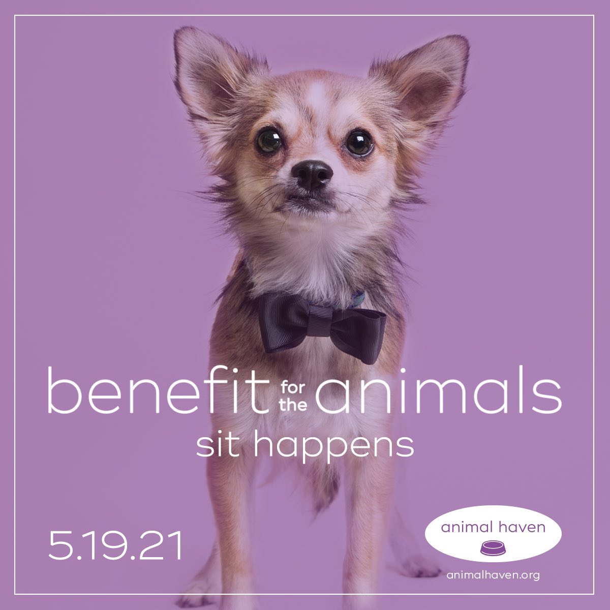 It’s that time of the year! 🐶❤️🐱 Purchase tickets for @AnimalHaven’s virtual gala here:   
