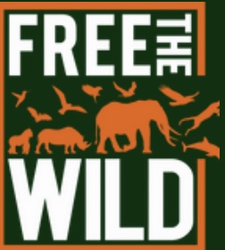 FREE THE WILD Working on 4 elephants At ONE TIME. 🙏🏻🙏🏽🙏🏾 