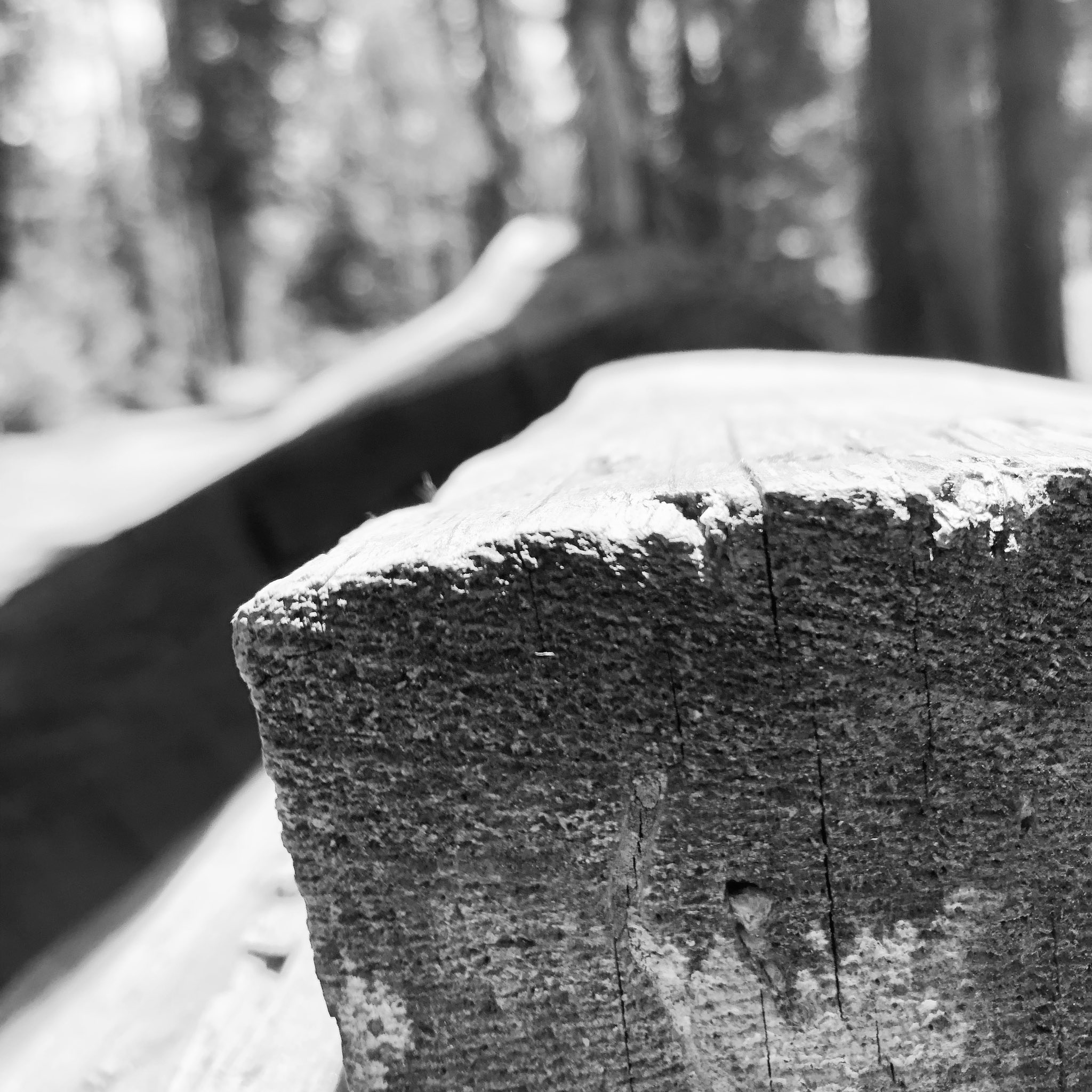 “Jesus was made known to them
in the breaking of bread.”
~ John 24:35
Google Photos labeled this pic as “bread” even though it’s wood in Yosemite taken during our trip there. Turns out that combination fits well into the theme of Easter and the Cross.
#gospel
#todaysreadings https://t.co/tHsiPiZCdP