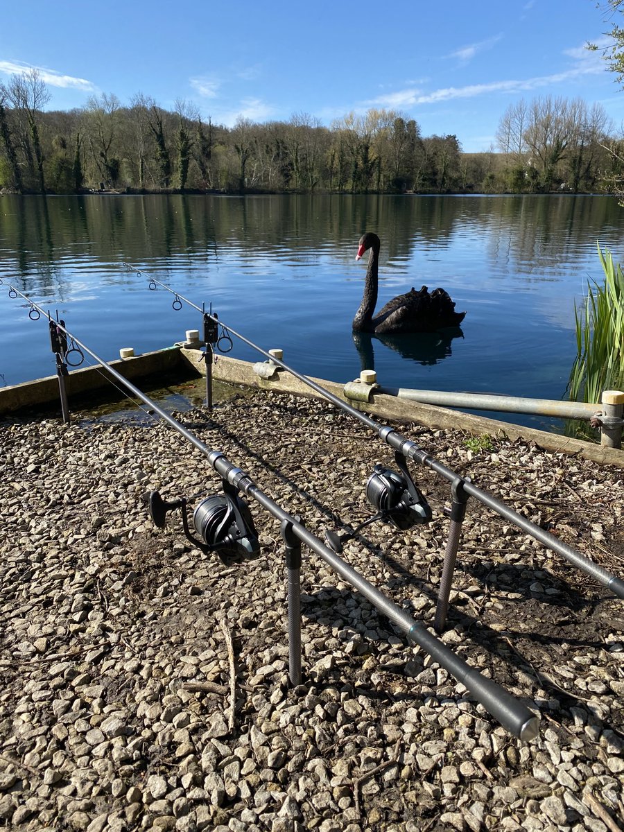 The only visitor to the bank on Saturday. Beautiful day though . Happy to be on the bank 😀🎣#ca