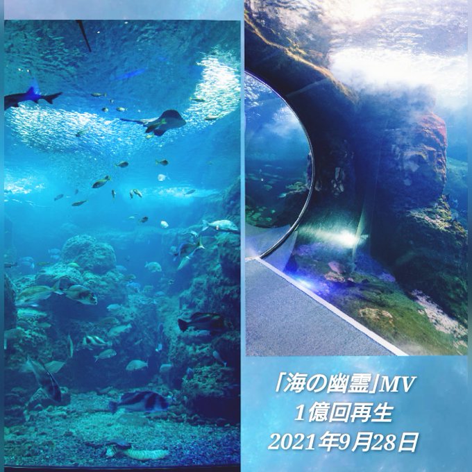初めてMVを観た時鳥肌がたち指が震え涙がこぼれました。MV1億回再生という偉業を達成するのが15回目✨おめでとうございま 初めてMVを観た時鳥肌がたち指が震え涙がこぼれました。MV1億回再生という偉業を達成するのが15回目✨おめでとうございま
