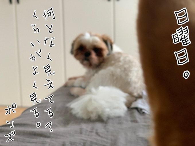 🦎Hello World🌝くっきり鮮やかに見えているものも美しい。が、何となく見えているんだけど何だかハッキリしないも 🦎Hello World🌝くっきり鮮やかに見えているものも美しい。が、何となく見えているんだけど何だかハッキリしないも