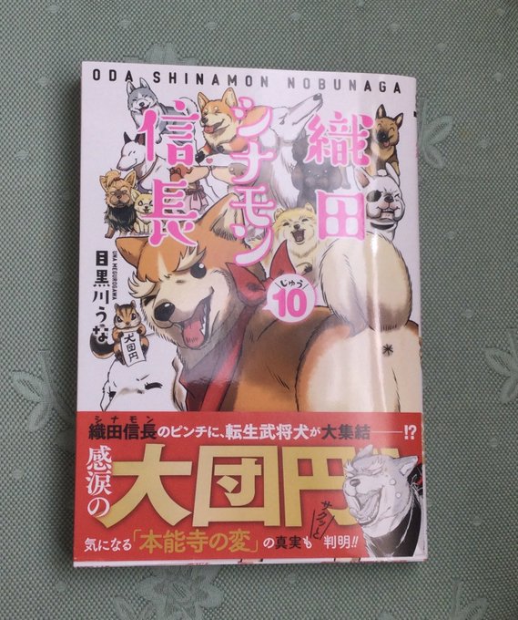 ♦︎【織田シナモン信長】10巻❣️届いた~!ついに犬団円‼か⁉️️#織田シナモン信長 #目黒川うな ♦︎【織田シナモン信長】10巻❣️届いた~!ついに犬団円‼か⁉️️#織田シナモン信長 #目黒川うな