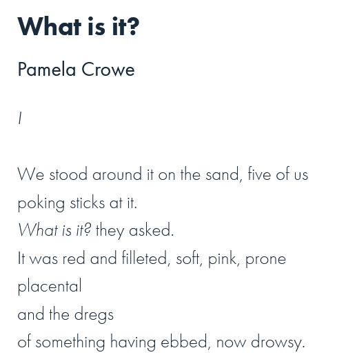 test Twitter Media - 'We stood around it on the sand, five of us
poking sticks at it.
What is it? they asked.'

@pamela__crowe's 'What is it?' is a winner of the recent Members' Poems competition on 'Survival & Extinction'. Read it here: https://t.co/uRUF0TD0Hi https://t.co/7xySCJQGIv
