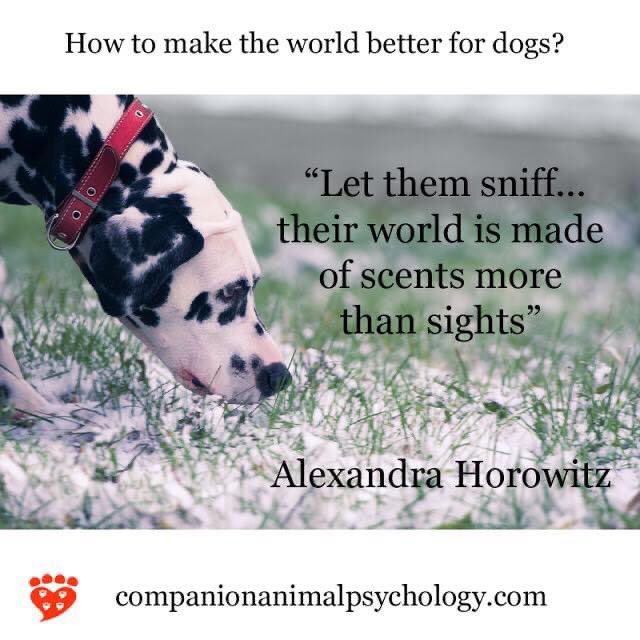 test Twitter Media - This came up this morning just as I was developing a training  plan for my dogs to use “sniffing” as a reward this week. #alexandrahorowitz #dogssniffing #detectiondogs #dogcognition #dogcognitionlab https://t.co/4TO2iC4lQV