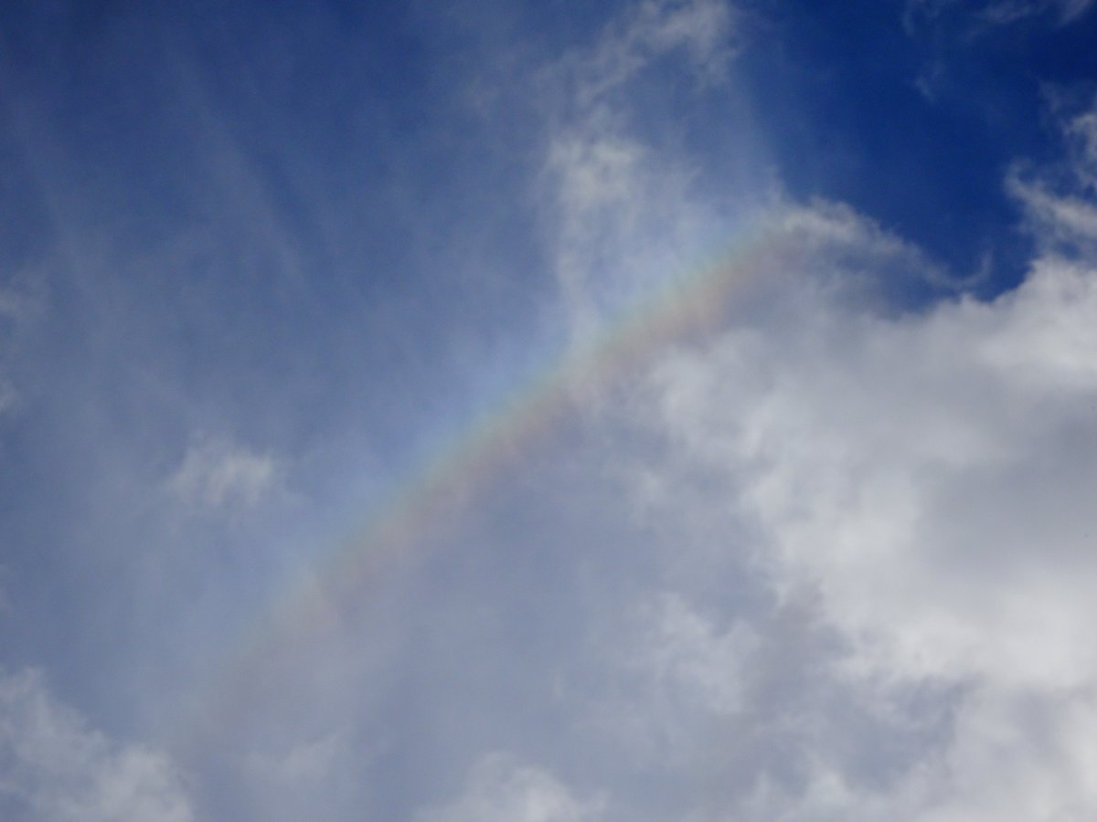 test ツイッターメディア - 2022年1月16日(日)の大阪枚方☀☁晴れが優勢になりそうなモデル予想。西風なのでそんなに雲も来ないかな。夕方に少し曇りそう。虹色（一枚目はラテラルがうっすら？？？）※天気予報ではありません。#お天気ダービー#天気男子 https://t.co/KgnTocgIxH