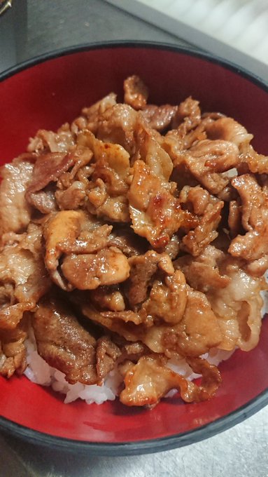 銀の匙読んでたら無性に食べたくなった豚丼、ありがとう 銀の匙読んでたら無性に食べたくなった豚丼、ありがとう