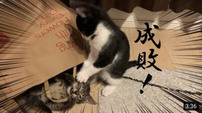 YouTubeアップしました🐈⬛うにとらが時代劇に挑戦!時代劇の曲ってカッコイイですよね。私は鬼平犯科帳のエンディング YouTubeアップしました🐈⬛うにとらが時代劇に挑戦!時代劇の曲ってカッコイイですよね。私は鬼平犯科帳のエンディング