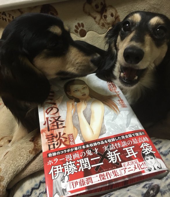 プー姉たん、コレ怖いん?ワールド全開でち!おもろかった😁#伊藤潤二#ミミの怪談完全版 プー姉たん、コレ怖いん?ワールド全開でち!おもろかった😁#伊藤潤二#ミミの怪談完全版