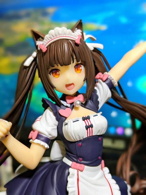 ショコラちゃ #ネコぱら ショコラちゃ #ネコぱら