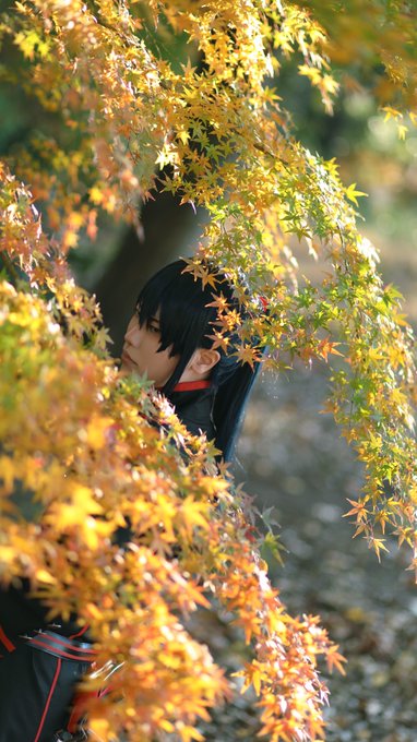 Cosplay / D.Gray-man-Yu Kanda彩を背にPhoto by oshio。()#えざき舎 