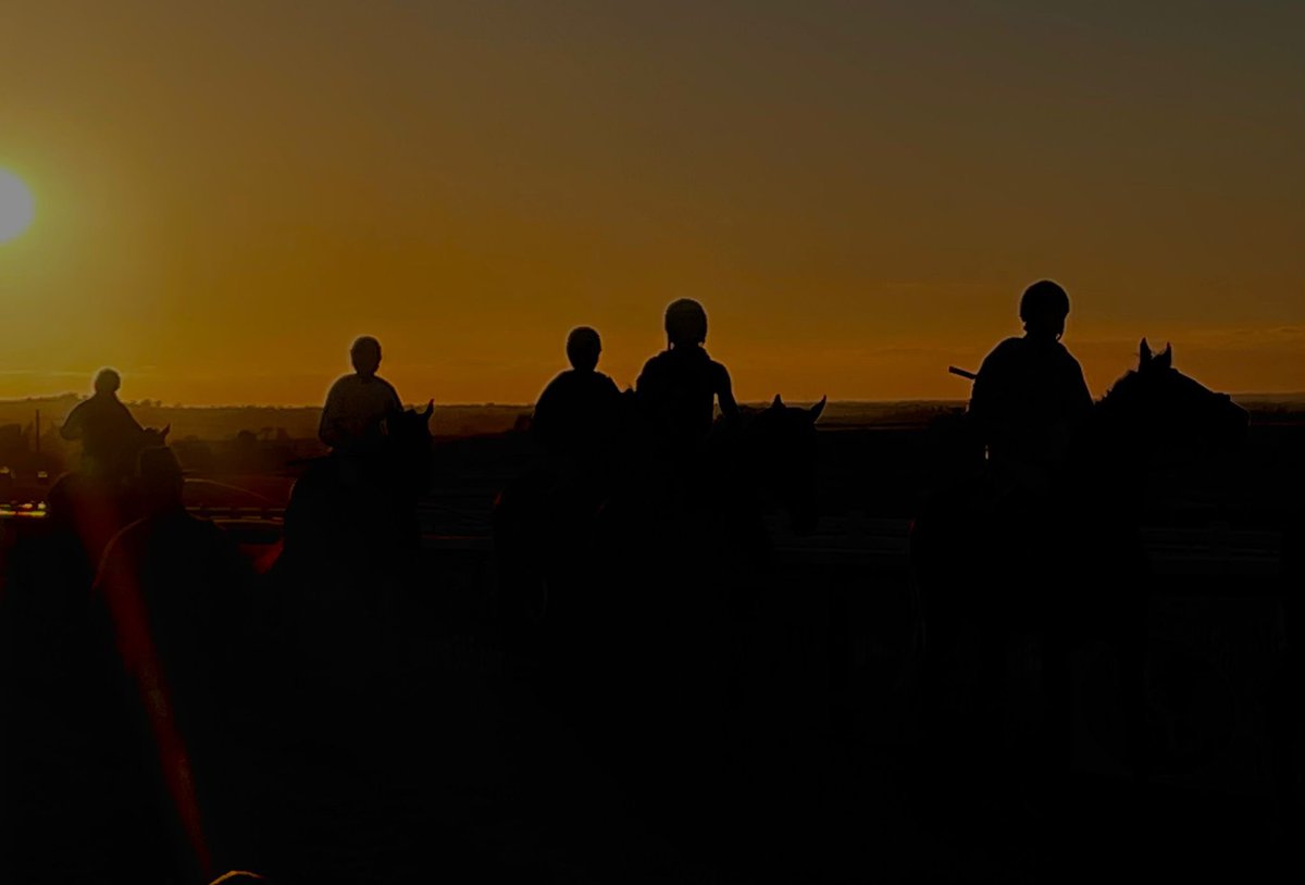 test Twitter Media - Sun sets @NavanRacecourse today as Willie Mullins and jockeys worked some of his #CheltenhamFestival team. https://t.co/OOSIs1jx9e