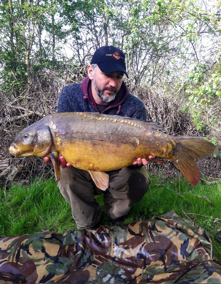 Spring time capture from the lesser known Second Drove @stiveslakesfishery 🇬🇧 🎣 #carpfishin