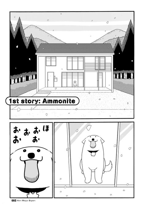 いぬとねこと暮らしたら、今日もピコーンと絵本ができました。(1/5)#きりもやびより #みずしな孝之 #いとしのムーコ いぬとねこと暮らしたら、今日もピコーンと絵本ができました。(1/5)#きりもやびより #みずしな孝之 #いとしのムーコ
