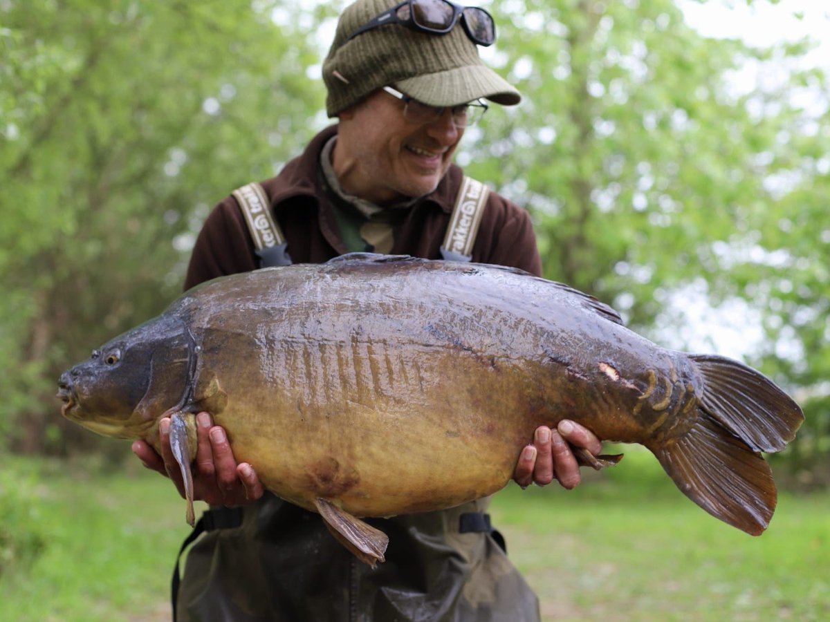 Here’s the other side of Chris Pemberton’s 34lb from the weekend #carp #bigcarp #carpfishing #fi