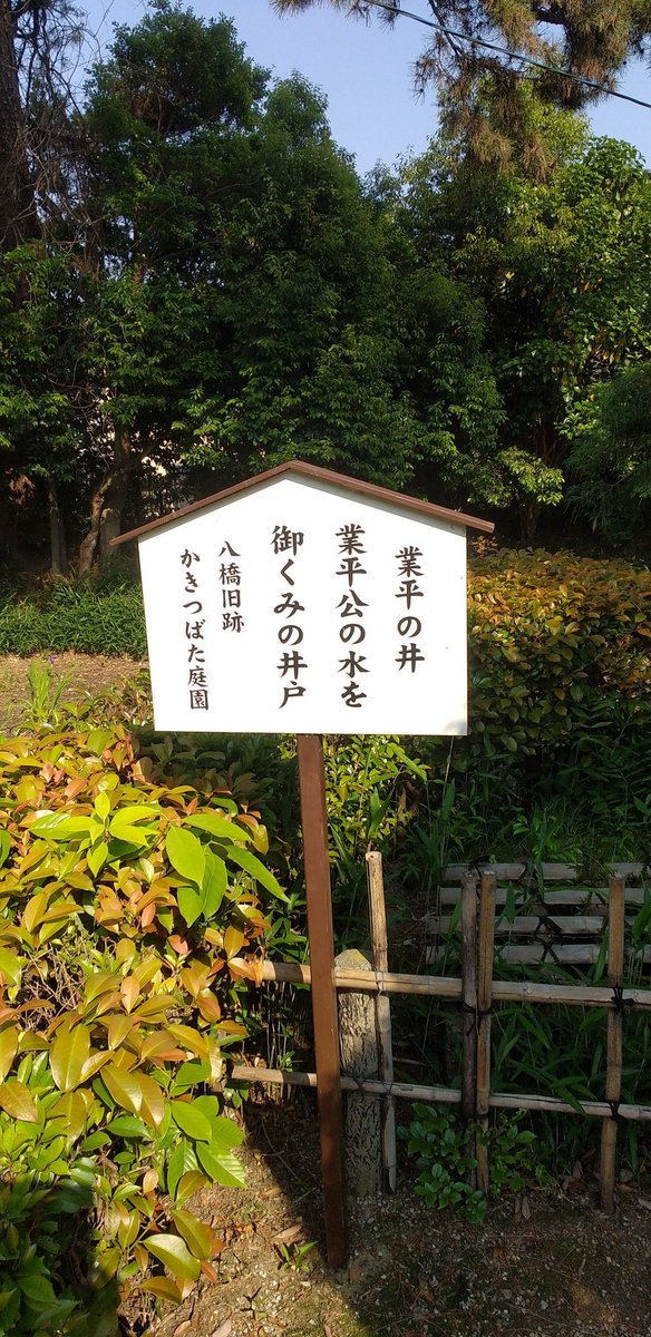 test ツイッターメディア - @naoko__otsuka 
お花便り２
同じく知立市の八橋かきつばた園（無量寿寺）へ。カキツバタが群生してると思ったら、お寺の本堂の周りに小さいかきつばた池が点在。ちょっとガッカリ(笑)地元の公園のかきつばた池の方がでかくて群生してる！(笑)
知立といえば大あんまき。藤田屋で買って来ましたよ🤤 https://t.co/twpLT7m593