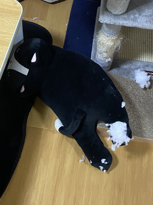 ブレイブルーやってて後ろでバタバタしてるなーと思ってたら事件発生してた・・・シャンクス!!足がッ!!! ブレイブルーやってて後ろでバタバタしてるなーと思ってたら事件発生してた・・・シャンクス!!足がッ!!!