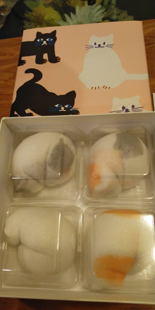 test ツイッターメディア - @twinkle_st_07 猫のおまんじゅうとかはありますけど、どら焼きは珍しいかも😳
たまドラ地元にあって良かった(笑)

↓この猫まんじゅうは京都です。 https://t.co/li2zS0ll1x