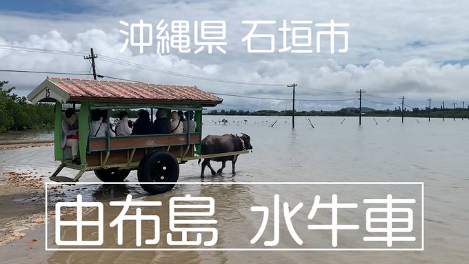 沖縄県 石垣市 【由布島 水牛車】island via #Japan 沖縄県 石垣市 【由布島 水牛車】island via #Japan