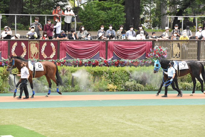 あ、あれは……オジュウとベイビーステップ!? あ、あれは……オジュウとベイビーステップ!?