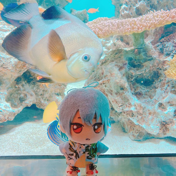 ネぬいの沢山とってきた❗️写真楽しかった〜🥹(2枚目はももくりさんのちかげさんを添えて) ネぬいの沢山とってきた❗️写真楽しかった〜🥹(2枚目はももくりさんのちかげさんを添えて)