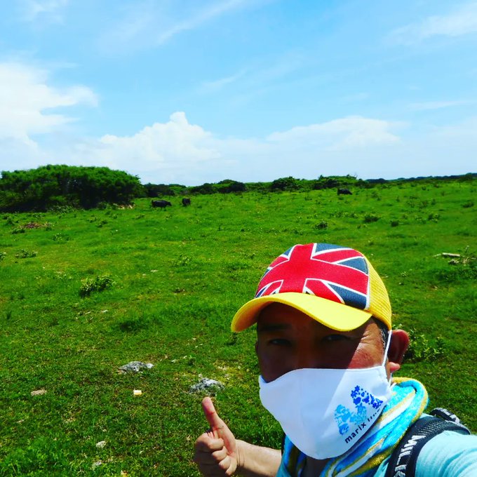 【初夏❗再生トラベルへGO.2022👒〜その37】黒島の人口に対して約13倍の数を占める「牛の島」は起伏がほとんどない平 【初夏❗再生トラベルへGO.2022👒〜その37】黒島の人口に対して約13倍の数を占める「牛の島」は起伏がほとんどない平