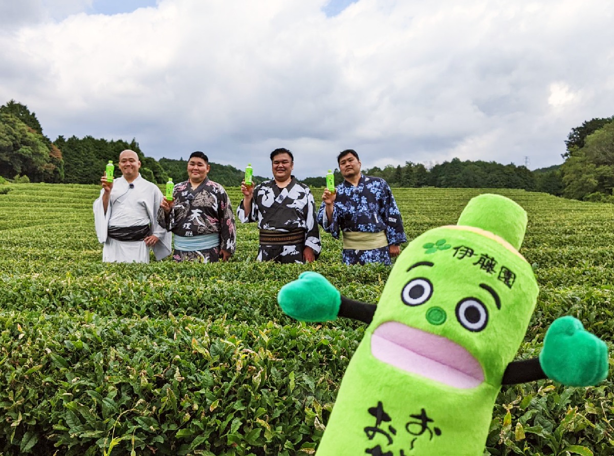 FVb3fxdUAAE_MuD.jpg:large