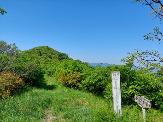 登頂完了。間違いなくタカト山はここに存在した。…ん?鳥の鳴き声?#だかいち 登頂完了。間違いなくタカト山はここに存在した。…ん?鳥の鳴き声?#だかいち