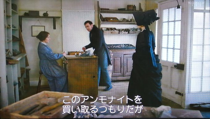 「アンモナイトの目覚め」F・リー19世紀半ばのイギリス波音と鷗の鳴き声が常に聞こえる、最果て感漂う寒々とした海辺の街描か 「アンモナイトの目覚め」F・リー19世紀半ばのイギリス波音と鷗の鳴き声が常に聞こえる、最果て感漂う寒々とした海辺の街描か
