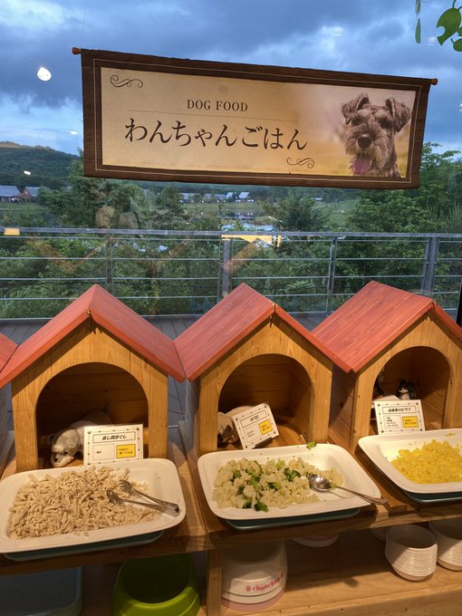 旅行でちーー!♥️わんこに優しいところでちた♥️♥️お友達のアンジュくん(12歳)は4皿食べてたよ🤣#マルプー#犬と旅行 旅行でちーー!♥️わんこに優しいところでちた♥️♥️お友達のアンジュくん(12歳)は4皿食べてたよ🤣#マルプー#犬と旅行