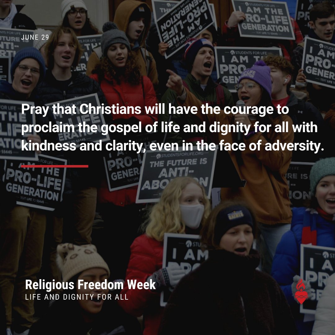 test Twitter Media - Pray that Christians will have the courage to proclaim the gospel of life and dignity for all with kindness and clarity, even in the face of adversity. Learn more: https://t.co/8T0jXctV2J #ReligiousFreedomWeek https://t.co/GBf8yuQzSB