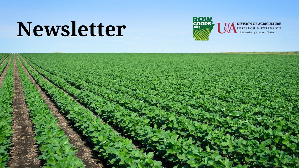 test Twitter Media - NEWSLETTER - This week's updates cover:
💠Arkansas IPM Report
💠Rice blast
💠Septoria brown spot in soybean
💠Rice update & Verification updates
💠Market reports

Get the newsletter at: https://t.co/2FhqBEE8cd https://t.co/eI96sPfEP0