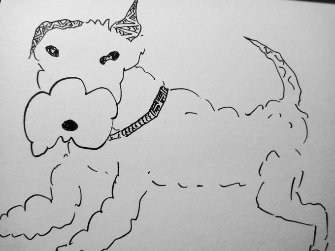🐻湖国犬のスケッチ‼️🐻This was supposed to be a Lakelander but he's al 🐻湖国犬のスケッチ‼️🐻This was supposed to be a Lakelander but he's al