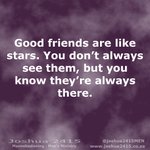 Good friends are like stars. You don’t always see them, but you know they’re always there.
@joshua2415men https://t.co/Mw83ef0VKw