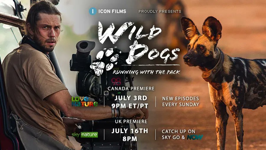 UK - Wild Dogs: Running With The Pack starts on Sky Nature in 30 minutes! https://t.co/w1Vy7i318l