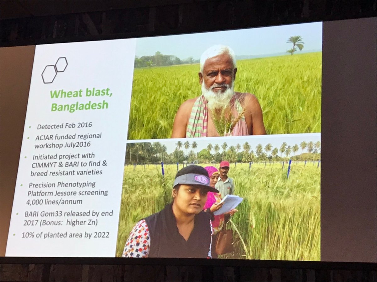 test Twitter Media - 40 years of @ACIARAustralia supported impacts highlighted by @ACIARCEO #22cfonf including rapid response to wheat blast in Bangladesh made possible through long-term partnerships with Bangladesh enabling screening at scale & deployment of resistant germplasm @CIMMYT https://t.co/0ymOyTCCNK