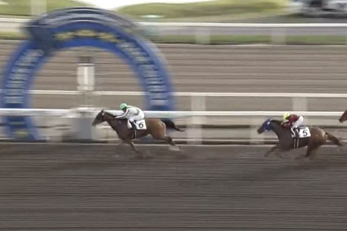 20220901 門別4R襟裳岬賞 C4ヴァナディースの仔マーゴットリリーちゃん😊好スタートで見事🎉逃げ切り勝利13戦目 20220901 門別4R襟裳岬賞 C4ヴァナディースの仔マーゴットリリーちゃん😊好スタートで見事🎉逃げ切り勝利13戦目