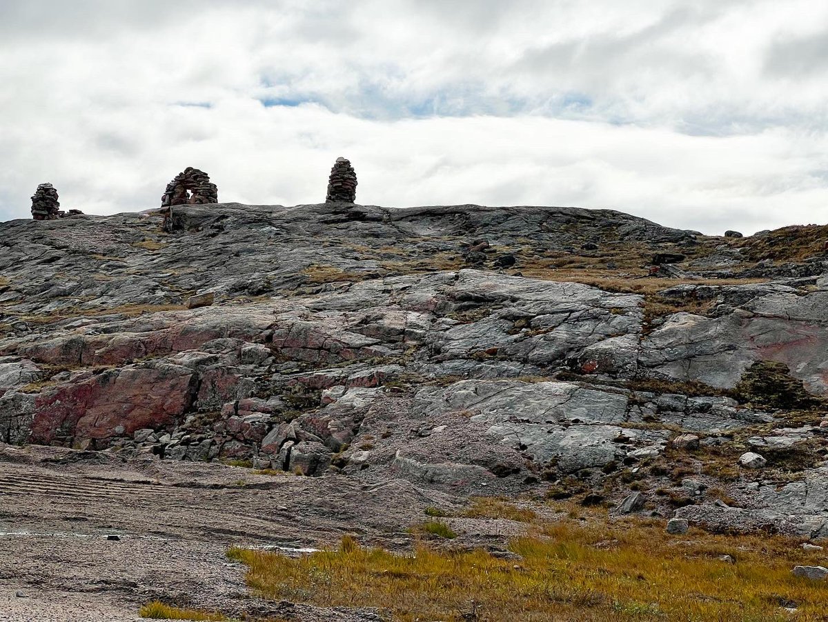 test Twitter Media - A few more from #Naujaat #Nunavut https://t.co/2TMSGsjLsy