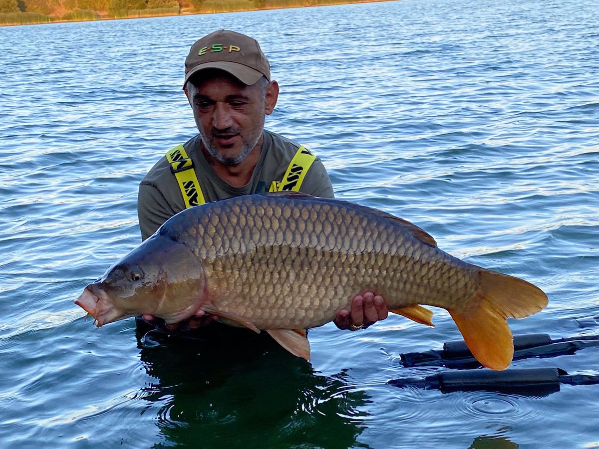 Lovely <b>Common</b> for James from his local syndicate in Kent. Coming in the net at 28lb.
#carpfis