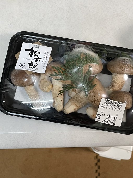 松太郎、、、お父さんは松茸お母さんは椎茸らしい。。 松太郎、、、お父さんは松茸お母さんは椎茸らしい。。