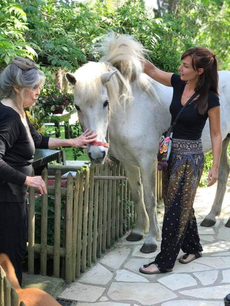 Brigitte Bardot's Birthday Celebration HappyBday.to