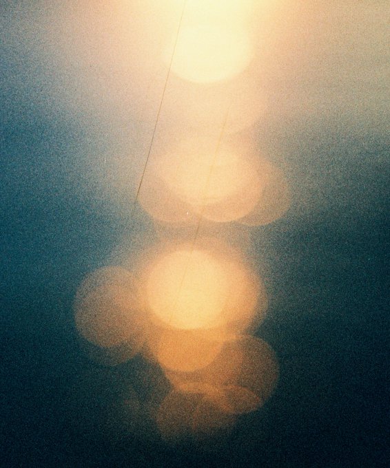 【ひろがる涙】#film lomography metropolis / contax ariadevelopment 【ひろがる涙】#film lomography metropolis / contax ariadevelopment