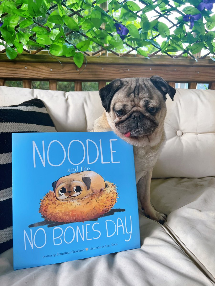 Noodle The Pug, Of Viral “Bones Or No Bones Day” TikTok, Dies Noodle The Pug, Of Viral “Bones Or No Bones Day” TikTok, Dies