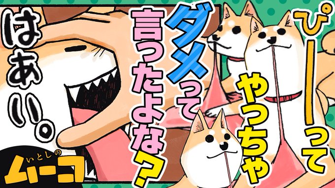 今日の動画はこちら🐶「いとしのムーコ」みずしな孝之()「こまつさんが早く犬になればいいのに!」ムーコとこまつさんの元気い 今日の動画はこちら🐶「いとしのムーコ」みずしな孝之()「こまつさんが早く犬になればいいのに!」ムーコとこまつさんの元気い
