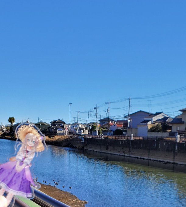 #春日部つくし #信長の忍び #杉戸町聖地巡礼初詣!杉戸町!何故か信長の忍びとコラボしていた杉戸町になります!夏には流灯 #春日部つくし #信長の忍び #杉戸町聖地巡礼初詣!杉戸町!何故か信長の忍びとコラボしていた杉戸町になります!夏には流灯