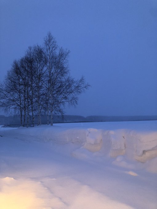 今日は除雪しなくて良い穏やかな日だったけど少し降りだした刻刻と変わる青 今日は除雪しなくて良い穏やかな日だったけど少し降りだした刻刻と変わる青