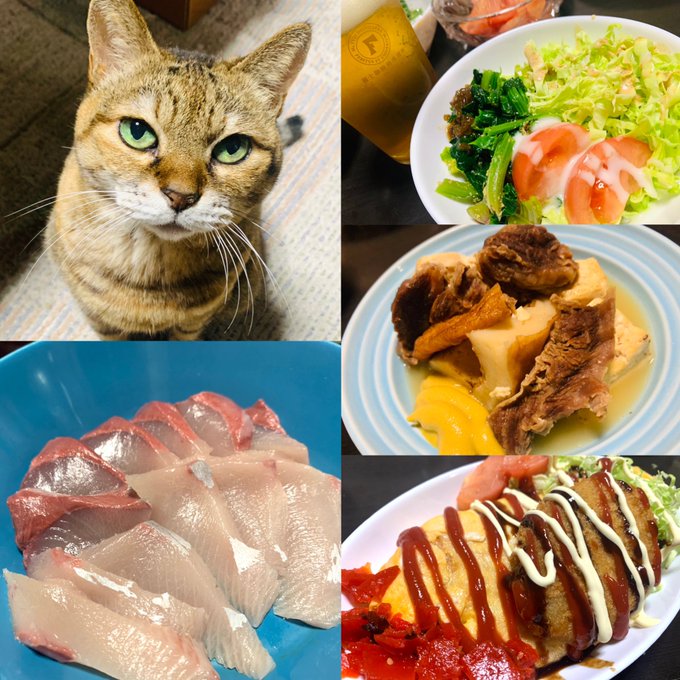 お疲れモード収録…ヤバかったけど、何とか乗り切り、深夜おうちごはん(^^;猫よ🐈何を訴えている?!#鳴門 #徳島 #お疲 お疲れモード収録…ヤバかったけど、何とか乗り切り、深夜おうちごはん(^^;猫よ🐈何を訴えている?!#鳴門 #徳島 #お疲